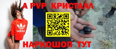 спиды Сланцы