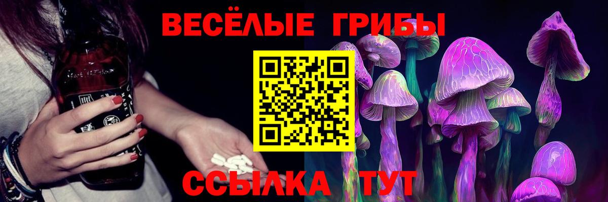 Галлюциногенные грибы Cubensis Вязьма